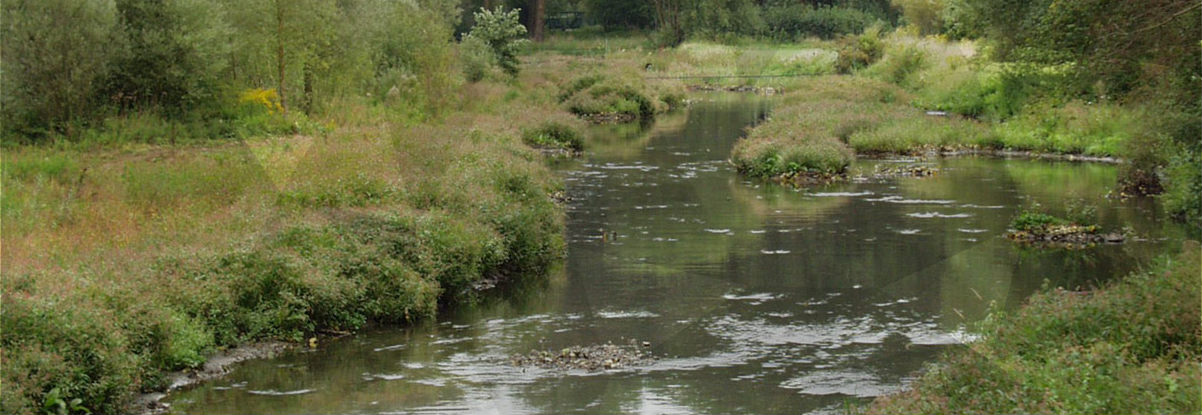 Renaturation de cours d'eau